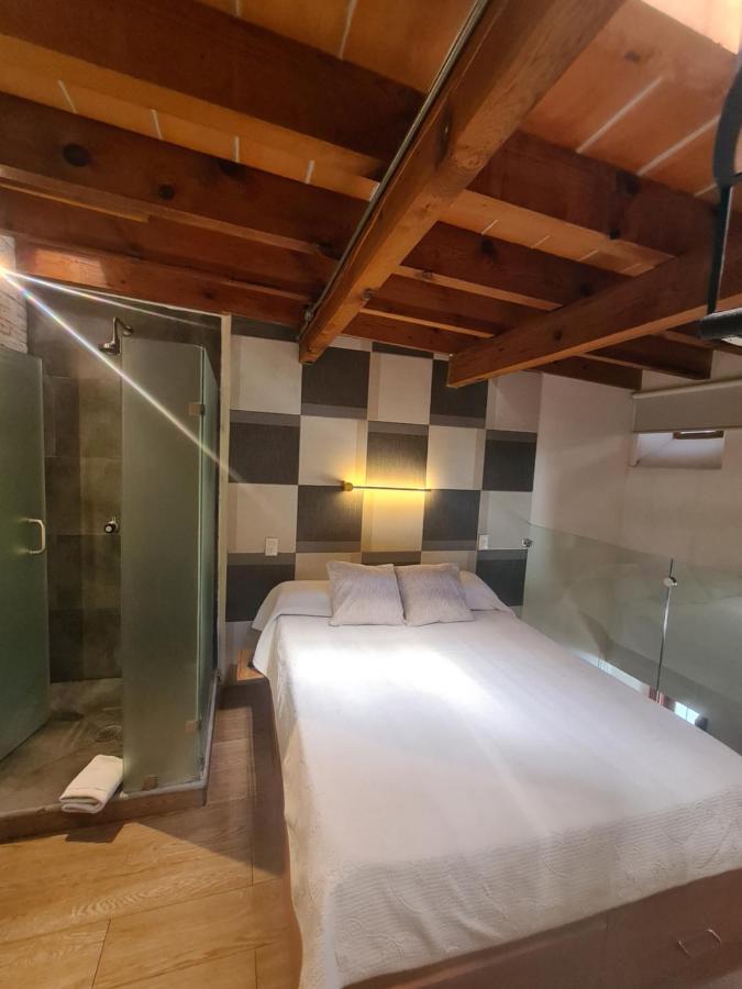 Loft 41 By Casa Matia Apartment San Miguel de Allende Bagian luar foto